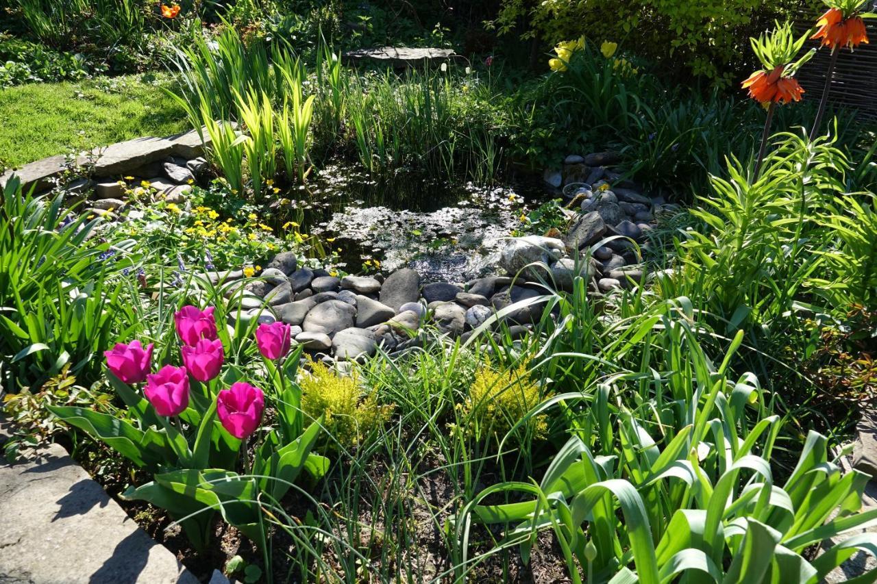 Le Jardin Des Miroirs Bed and Breakfast Esneux Εξωτερικό φωτογραφία