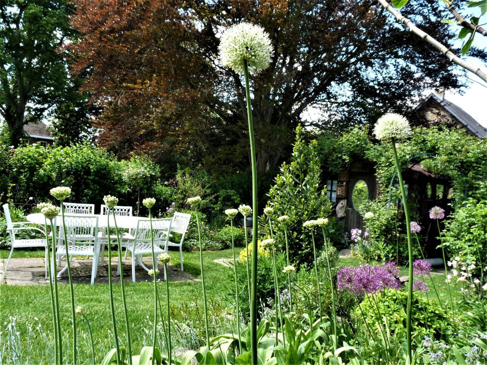 Le Jardin Des Miroirs Bed and Breakfast Esneux Εξωτερικό φωτογραφία
