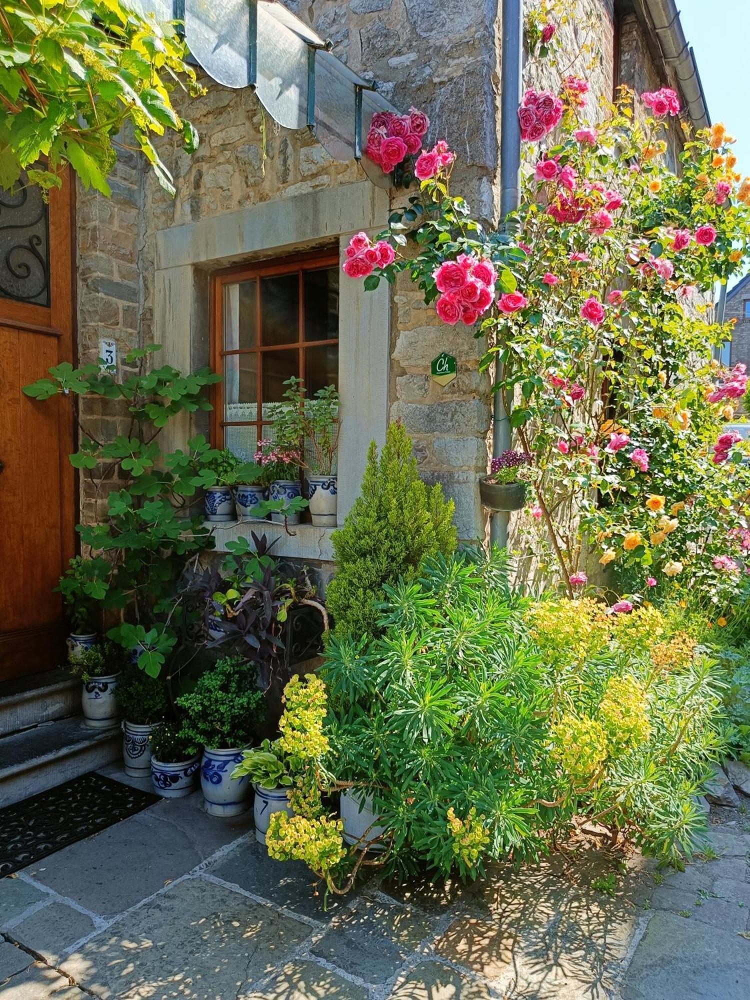 Le Jardin Des Miroirs Bed and Breakfast Esneux Εξωτερικό φωτογραφία